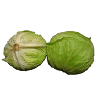 গোলাকার বাঁধাকপি (স্থানীয়)