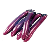 লম্বা বেগুন