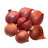 IMPORTED SMALL RED ONION (THAILAND)