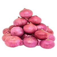 IMPORTED BIG ONION (INDIA)