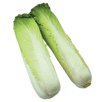 লম্বা বাঁধাকপি (স্থানীয়)