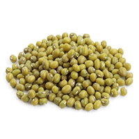 GREEN BEANS (IMPORT)