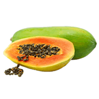 COMMON PAPAYA