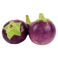 Round Eggplant