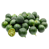 লেবুর কস্তুরী