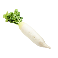 白萝卜 (1kg)