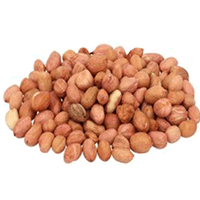 বাদাম (আমদানি)