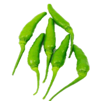 Green Bird's Eye Chili