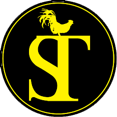 ST Rosyam Mart (Shah Alam) Sdn Bhd (13101133-A)